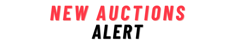 exfactoryauctions.com